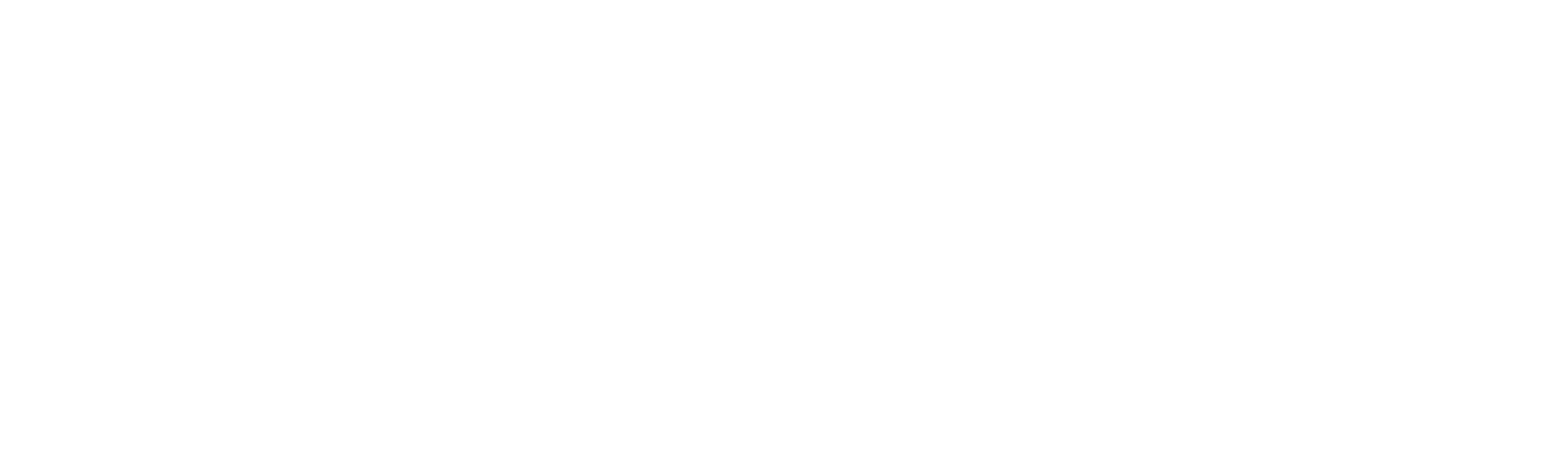 biCanvas mobile logo